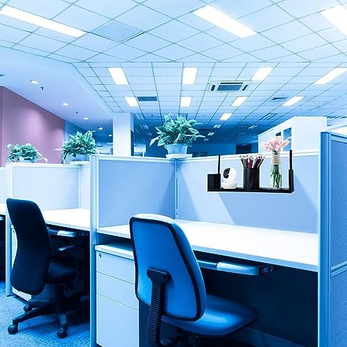 Lineshading Office Cubicle Shelf Storage Organizer Hanging File Organizer Cubicle Hanging Shelf Accessories Storage Bookshelf with Hooks for Home Desk - Image 7