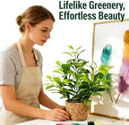 16 inch Boho Artificial Peperomia Potted Plant in Woven Basket Planter Lifelike Two Tone Green Leaves Faux Indoor Branches for Home Office Desk Shelf Bathroom Table Decor - Image 6