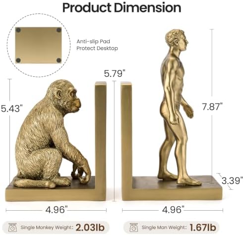 Gold Evolution Book Ends, Monkey to Man Bookends for Heavy Books - Image 3