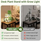 LASZOLA Plant Stand Indoor Tabletop Shelf Small for Desk, Wooden Brown - Image 3