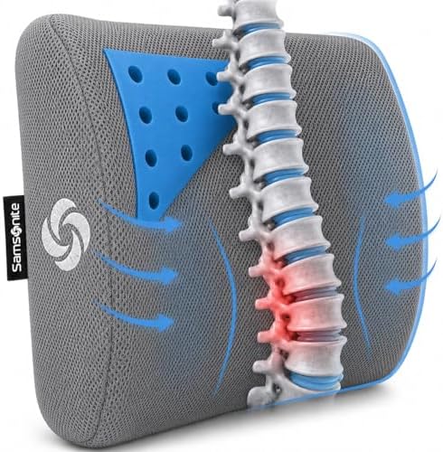 Samsonite Memory Foam Lumbar Support Pillow for Office Chair, Gaming Chair, or Car-Ergonomic Back Cushion-Home Essentials for Sitting Comfort and Posture Relief Back Support with Cooling Gel, Grey by Unknown