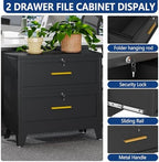Ckzbx Metal 2 Drawers Locker Storage Organizer,33.46" H Balck Drawer Chest, Closet Organizers for Living Room, Hallway, Closet - Image 5