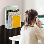Acrimet Vertical Triple File Folder Holder Organizer Sorter, Clear - Image 3