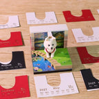 3D Calendar 2027,3D Memo Pad Time Piece Calendar 2027 Creative Desk Calendar Art Paper Sculpture Backpacking Dogs, 2027 Tear Off Calendar DIY Decorative Gift - Image 6