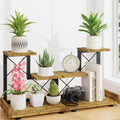 LASZOLA Plant Stand Indoor Tabletop Shelf Small for Desk, Wooden Brown by LASZOLA