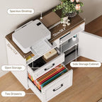 RALGEND Lateral File Cabinet 2 Drawers, Filing Cabinets for Home Office - Image 3
