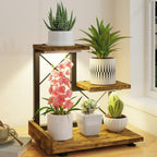 LASZOLA Plant Stand Indoor Tabletop Shelf Small for Desk, Wooden Brown by LASZOLA