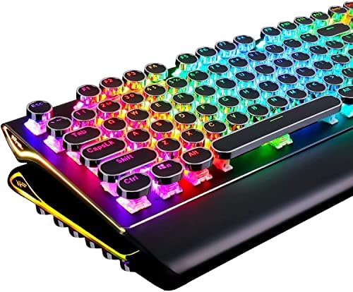 RK ROYAL KLUDGE S108 Typewriter Mechanical Keyboard, Full RGB Gaming Keyboard, Wired PC Game Keyboards with Number Pad and Detachable Wrist Rest, Retro Round Keycaps, Brown Switches Black by RKROYALKLUDGE