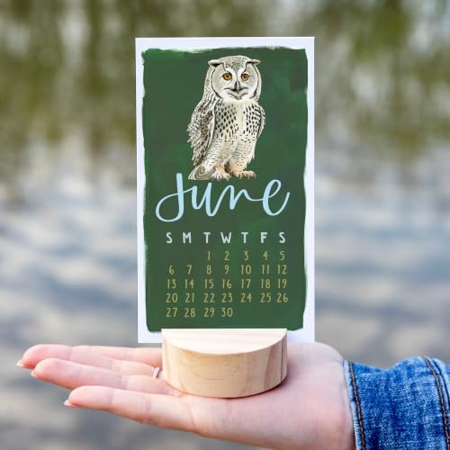 1Canoe2 2027 Mini Desk Calendar, Standing Calendar, National Parks Animals - Image 3