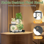 LASZOLA Plant Stand Indoor Tabletop Shelf Small for Desk, Wooden Black - Image 5