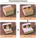 3D Calendar 2026, Time Piece Calendar With 52 Weekly Calendars for 2026, Magic Book and Cute Owl Paper Carving Art Note Book, Suitable for Room and Office Desktop Decoration, Gift Giving - Image 6