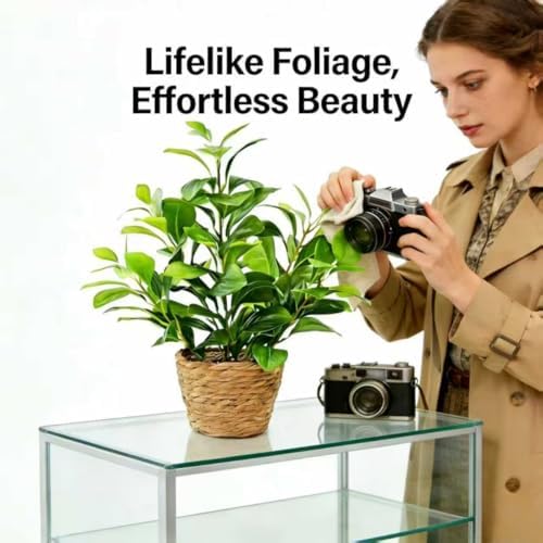 16 inch Boho Artificial Peperomia Potted Plant in Woven Basket Planter Lifelike Two Tone Green Leaves Faux Indoor Branches for Home Office Desk Shelf Bathroom Table Decor - Image 7