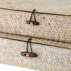 Hipiwe Set of 2 Flat Woven Wicker Basket Bins with Lid Natural Seagrass Box - Image 4