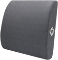 Samsonite Ergonomic Lumbar Pillow for Office Chair and Car Seat - Memory Foam Back Support Lumbar Pillow, Premium Cushion Chair Support for Lower Back Pain Relief and Versatile Use (Dark Grey) by Unknown