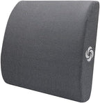 Samsonite Ergonomic Lumbar Pillow for Office Chair and Car Seat - Memory Foam Back Support Lumbar Pillow, Premium Cushion Chair Support for Lower Back Pain Relief and Versatile Use (Dark Grey) by Unknown