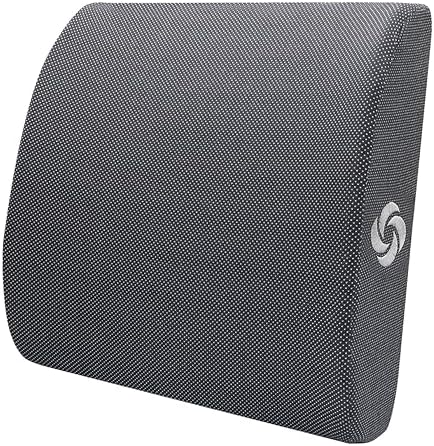 Samsonite Ergonomic Lumbar Pillow for Office Chair and Car Seat - Memory Foam Back Support Lumbar Pillow, Premium Cushion Chair Support for Lower Back Pain Relief and Versatile Use (Dark Grey) by Unknown