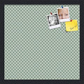 PinPix 17x17 inch Cork Bulletin Board. This Decorative Framed Pin Board Comes with Diamond Pattern in Nile Green Design and Satin Black. Ideal for Home, Office Decor or School (PinPix-380) by PinPixBulletinBoards